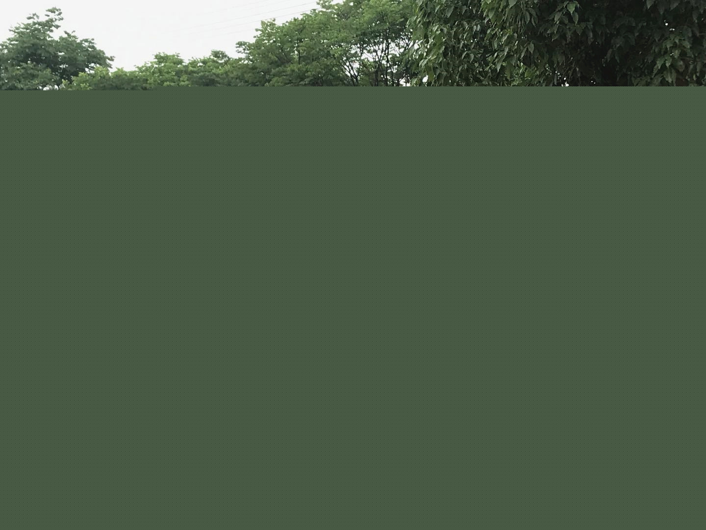 ʮ15